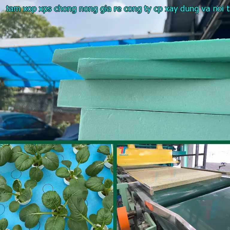 Model tấm xốp XPS chống nóng giá rẻ Công ty CP xây dựng và nội thất Remak: 52YPNL