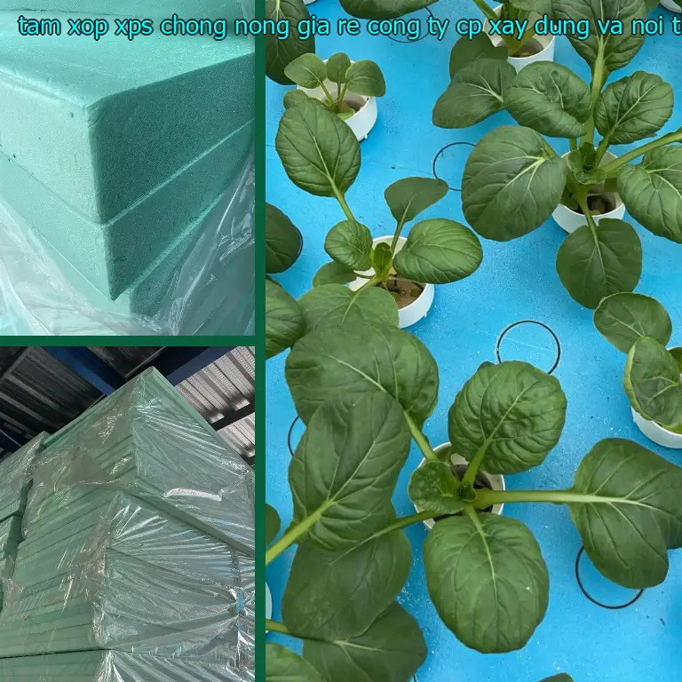 Danh mục tấm xốp XPS chống nóng giá rẻ Công ty CP xây dựng và nội thất Remak: Xốp XPS