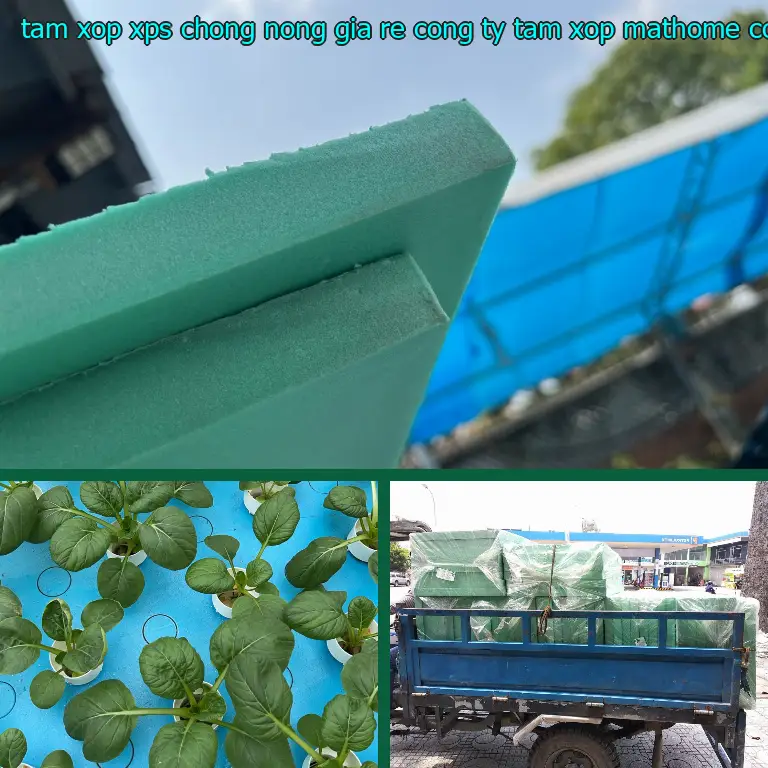 Nhà sản xuất tấm xốp XPS chống nóng giá rẻ Công ty tấm xốp MatHome: Công ty tấm xốp MatHome Nhà sản xuất tấm xốp XPS chống nóng giá rẻ Công ty tấm xốp MatHome: Công ty tấm xốp MatHome