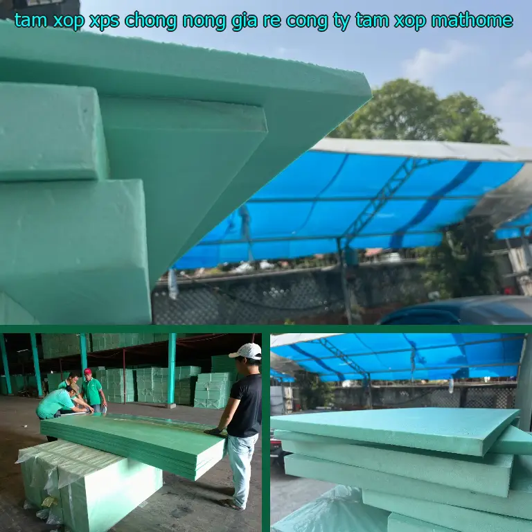 Tấm xốp XPS chống nóng giá rẻ Công ty tấm xốp MatHome