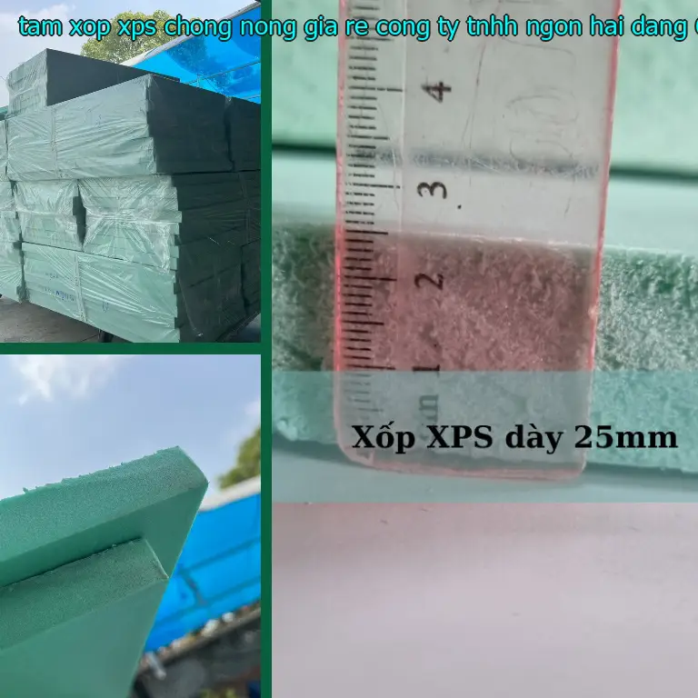 Kích thước tấm xốp XPS chống nóng giá rẻ Công ty TNHH Ngọn Hải Đăng: 60*170*4.0 cm Kích thước tấm xốp XPS chống nóng giá rẻ Công ty TNHH Ngọn Hải Đăng: 60*170*4.0 cm