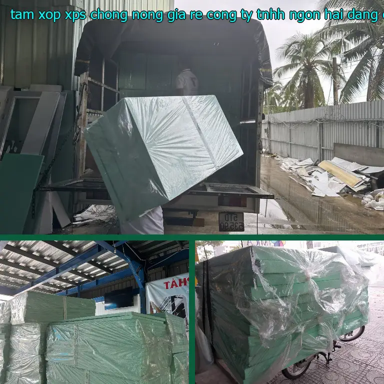 Nhà cung cấp tấm xốp XPS chống nóng giá rẻ Công ty TNHH Ngọn Hải Đăng: Công ty TNHH Ngọn Hải Đăng Nhà cung cấp tấm xốp XPS chống nóng giá rẻ Công ty TNHH Ngọn Hải Đăng: Công ty TNHH Ngọn Hải Đăng
