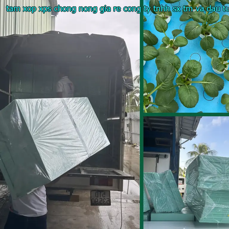 Giá tấm xốp XPS chống nóng giá rẻ Công ty TNHH SX TM và đầu tư Tiến Phong: 67.600₫ Giá tấm xốp XPS chống nóng giá rẻ Công ty TNHH SX TM và đầu tư Tiến Phong: 67.600₫