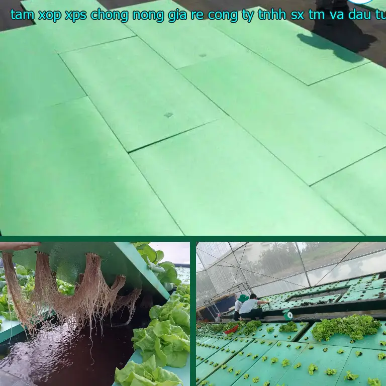 Nhà cung cấp tấm xốp XPS chống nóng giá rẻ Công ty TNHH SX TM và đầu tư Tiến Phong: Công ty TNHH Ngọn Hải Đăng Nhà cung cấp tấm xốp XPS chống nóng giá rẻ Công ty TNHH SX TM và đầu tư Tiến Phong: Công ty TNHH Ngọn Hải Đăng