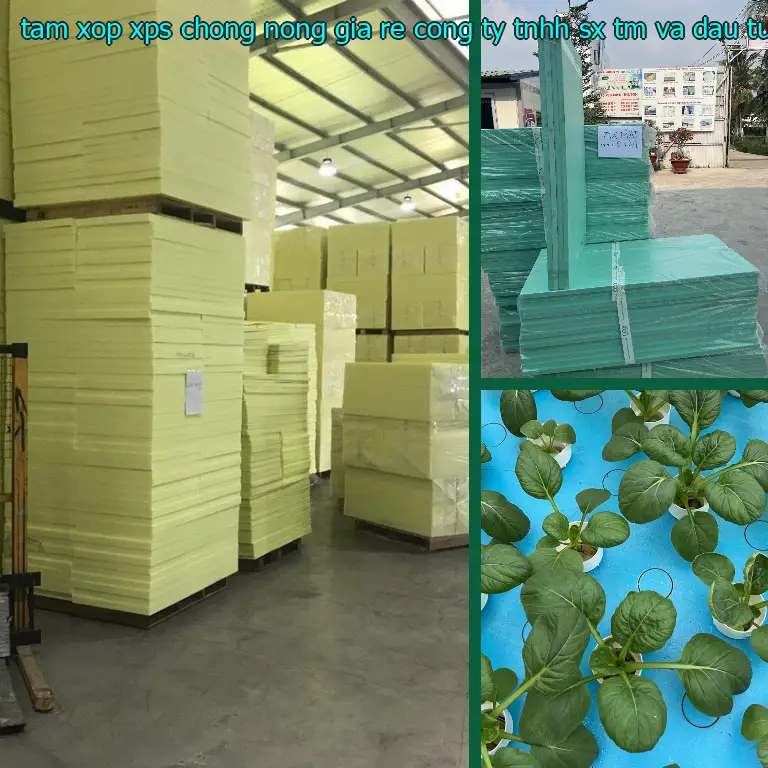 Xuất xứ tấm xốp XPS chống nóng giá rẻ Công ty TNHH SX TM và đầu tư Tiến Phong: VN Xuất xứ tấm xốp XPS chống nóng giá rẻ Công ty TNHH SX TM và đầu tư Tiến Phong: VN