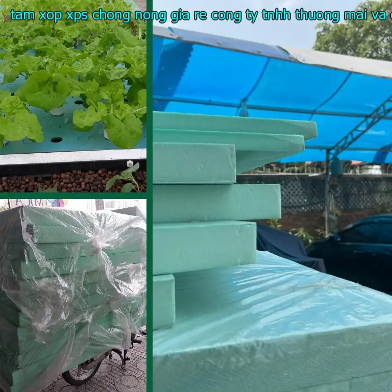 Model tấm xốp XPS chống nóng giá rẻ Công ty TNHH thương mại và công nghiệp Tín Tâm: RKY57C Model tấm xốp XPS chống nóng giá rẻ Công ty TNHH thương mại và công nghiệp Tín Tâm: RKY57C