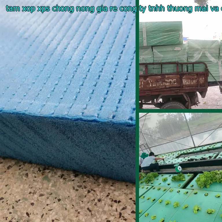 Màu sắc tấm xốp XPS chống nóng giá rẻ Công ty TNHH thương mại và công nghiệp Tín Tâm: Xanh dương Màu sắc tấm xốp XPS chống nóng giá rẻ Công ty TNHH thương mại và công nghiệp Tín Tâm: Xanh dương