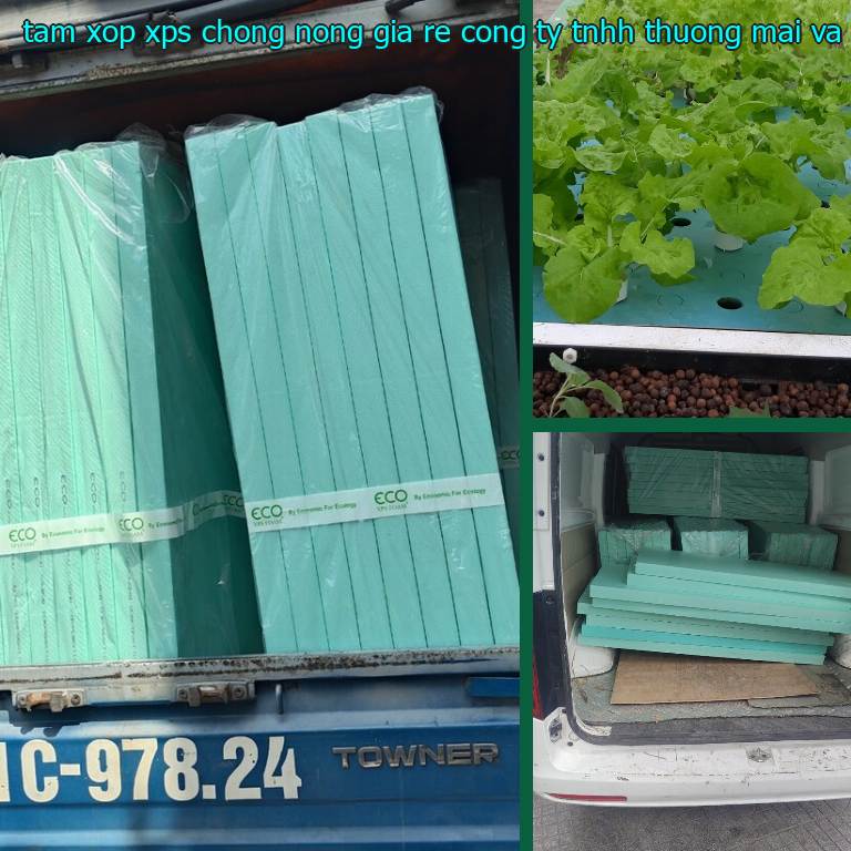 Danh mục tấm xốp XPS chống nóng giá rẻ Công ty TNHH thương mại và công nghiệp Tín Tâm: XPS Foam Danh mục tấm xốp XPS chống nóng giá rẻ Công ty TNHH thương mại và công nghiệp Tín Tâm: XPS Foam
