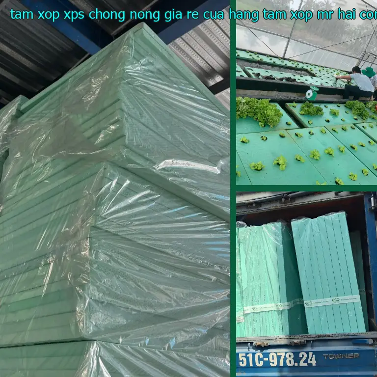 Nhà sản xuất tấm xốp XPS chống nóng giá rẻ Cửa hàng tấm xốp Mr.HẢI: Công ty TNHH MTV An Tiến Hưng Nhà sản xuất tấm xốp XPS chống nóng giá rẻ Cửa hàng tấm xốp Mr.HẢI: Công ty TNHH MTV An Tiến Hưng