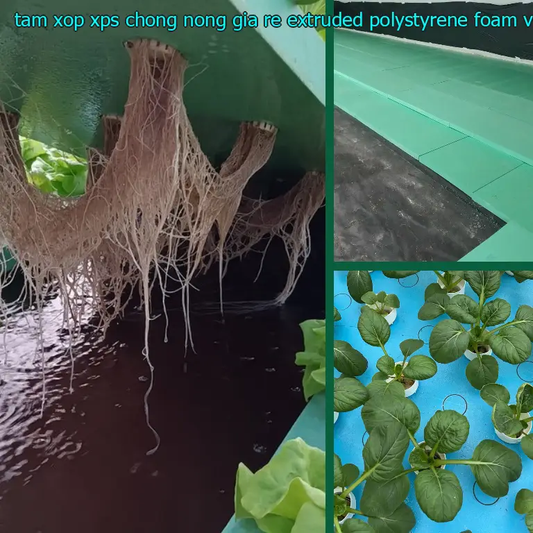Xuất xứ tấm xốp XPS chống nóng giá rẻ Extruded Polystyrene Foam: VN Xuất xứ tấm xốp XPS chống nóng giá rẻ Extruded Polystyrene Foam: VN
