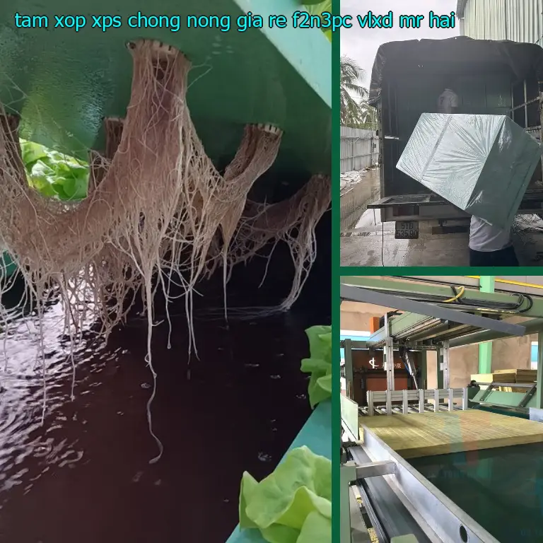 Nhà cung cấp tấm xốp XPS chống nóng giá rẻ F2N3PC: VLXD Mr.HẢI