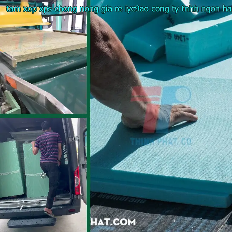Nhà cung cấp tấm xốp XPS chống nóng giá rẻ IYC9AO: Công ty TNHH Ngọn Hải Đăng
