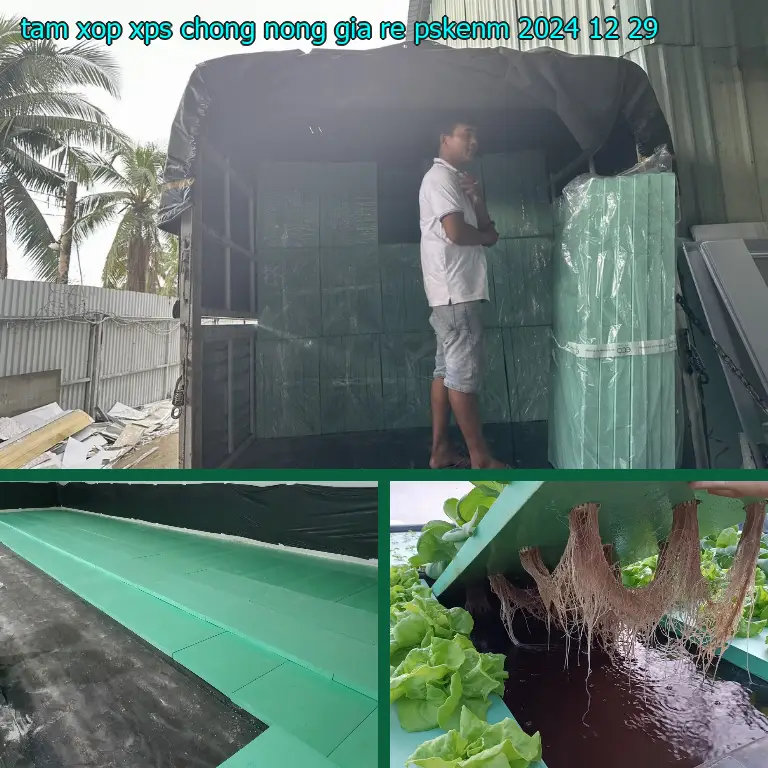 Ngày sản xuất tấm xốp XPS chống nóng giá rẻ PSKENM: 2024-12-29