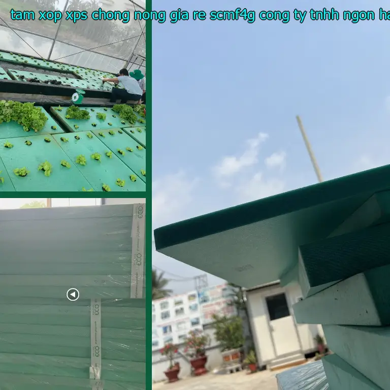 Nhà cung cấp tấm xốp XPS chống nóng giá rẻ SCMF4G: Công ty TNHH Ngọn Hải Đăng