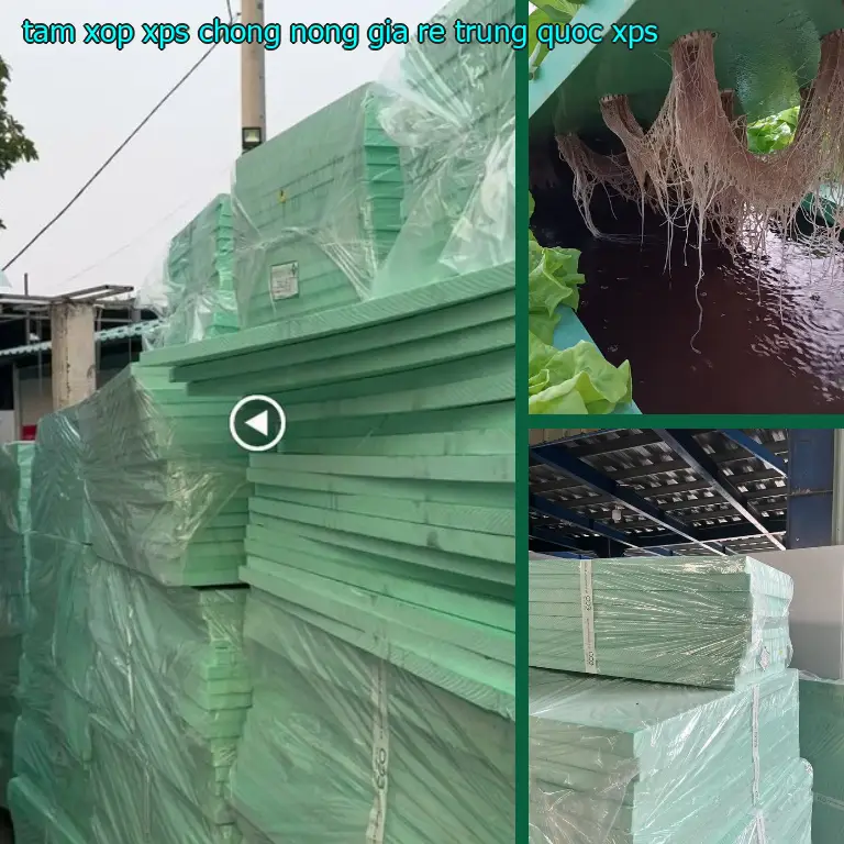 Chất liệu tấm xốp XPS chống nóng giá rẻ Trung Quốc: XPS Chất liệu tấm xốp XPS chống nóng giá rẻ Trung Quốc: XPS