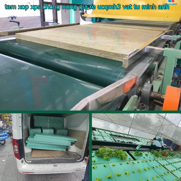 Nhà sản xuất tấm xốp XPS chống nóng giá rẻ UCQMH3: Vật tư Minh Anh