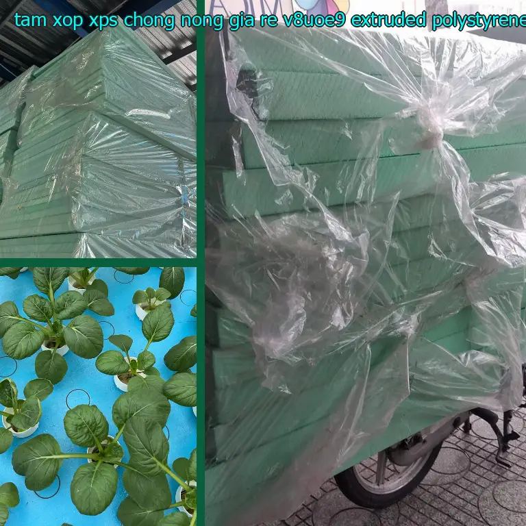 Chất liệu tấm xốp XPS chống nóng giá rẻ V8UOE9: Extruded Polystyrene Chất liệu tấm xốp XPS chống nóng giá rẻ V8UOE9: Extruded Polystyrene