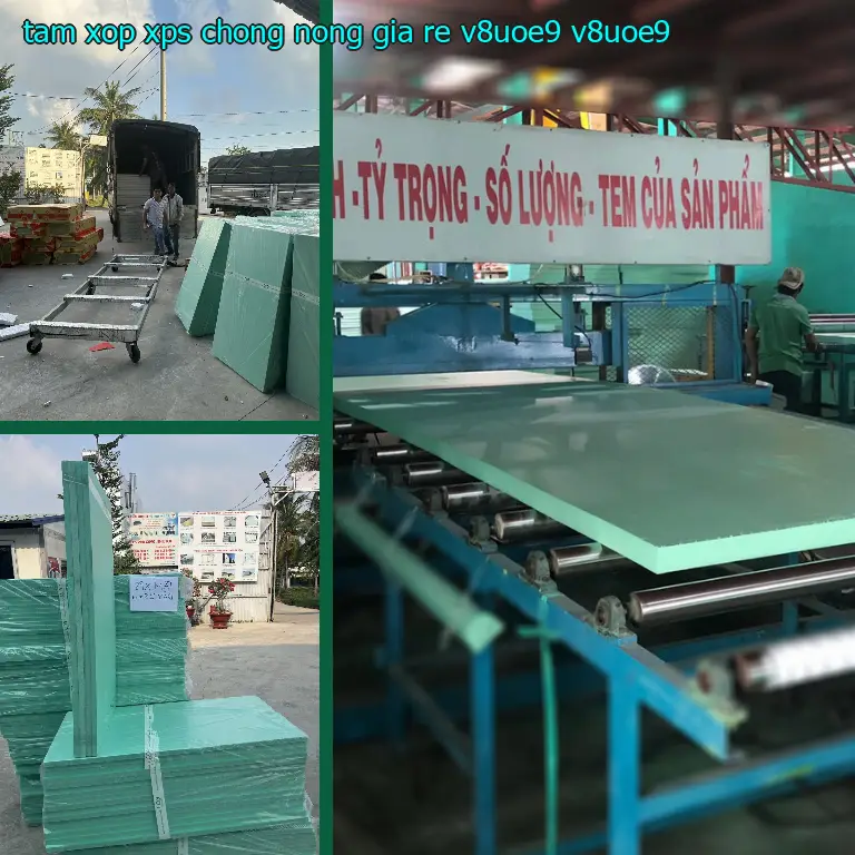 Model tấm xốp XPS chống nóng giá rẻ V8UOE9: V8UOE9 Model tấm xốp XPS chống nóng giá rẻ V8UOE9: V8UOE9