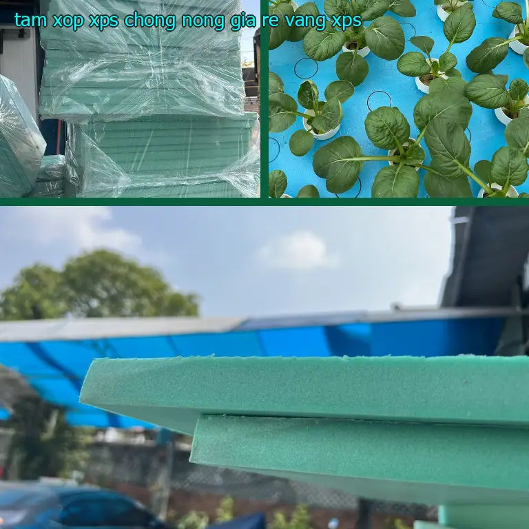 Chất liệu tấm xốp XPS chống nóng giá rẻ Vàng: XPS