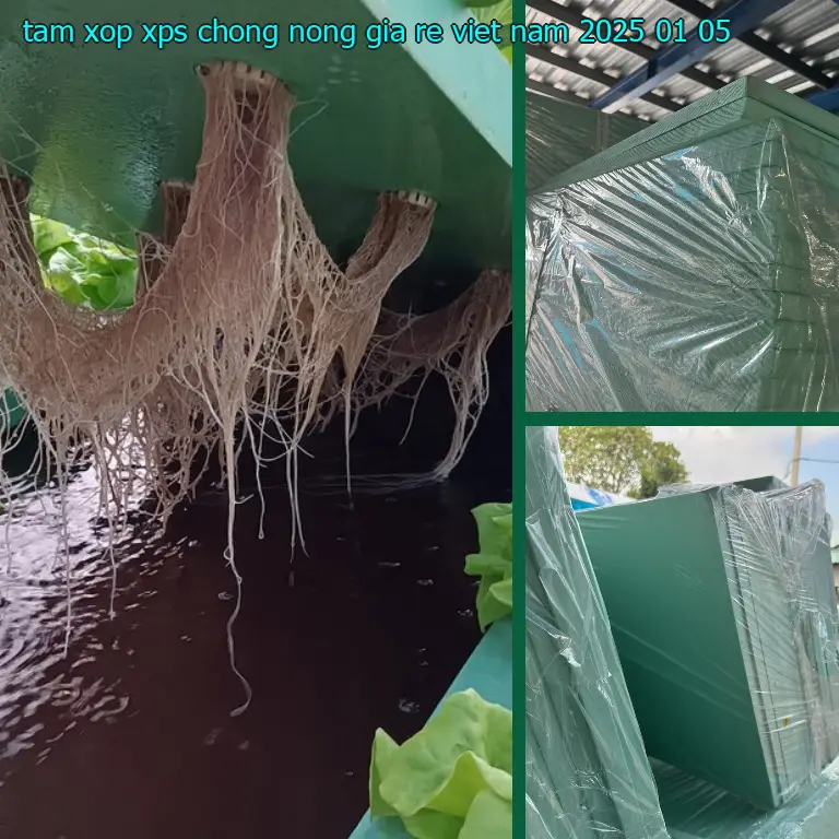 Ngày sản xuất tấm xốp XPS chống nóng giá rẻ Việt Nam: 2025-01-05 Ngày sản xuất tấm xốp XPS chống nóng giá rẻ Việt Nam: 2025-01-05