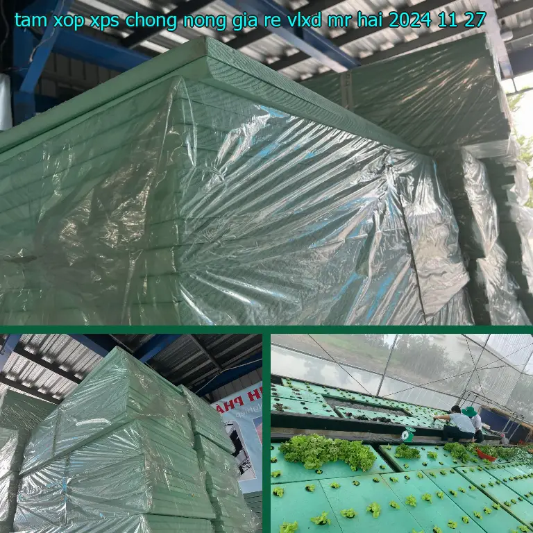 Ngày sản xuất tấm xốp XPS chống nóng giá rẻ VLXD Mr.HẢI: 2024-11-27 Ngày sản xuất tấm xốp XPS chống nóng giá rẻ VLXD Mr.HẢI: 2024-11-27