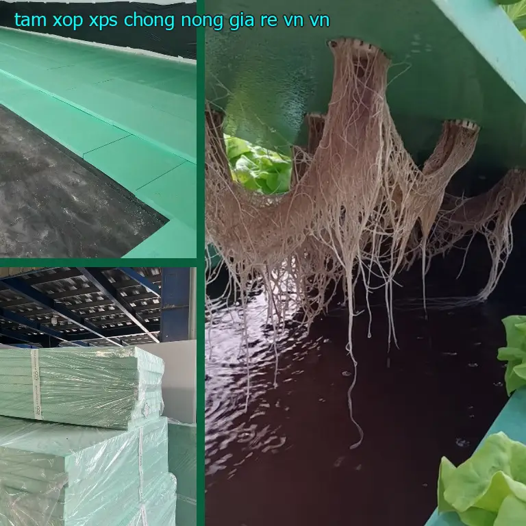 Xuất xứ tấm xốp XPS chống nóng giá rẻ VN: VN