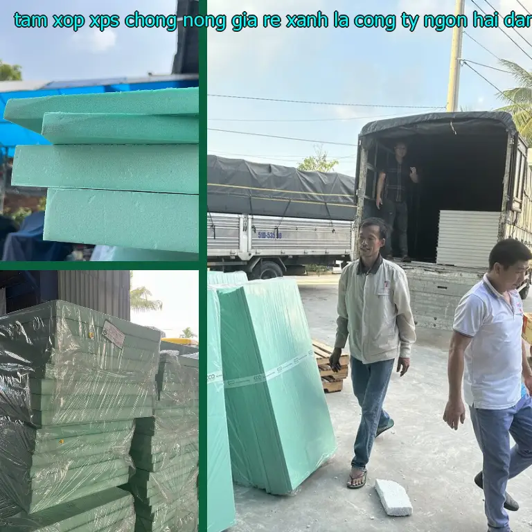 Nhà cung cấp tấm xốp XPS chống nóng giá rẻ Xanh lá: Công ty Ngọn Hải Đăng Nhà cung cấp tấm xốp XPS chống nóng giá rẻ Xanh lá: Công ty Ngọn Hải Đăng