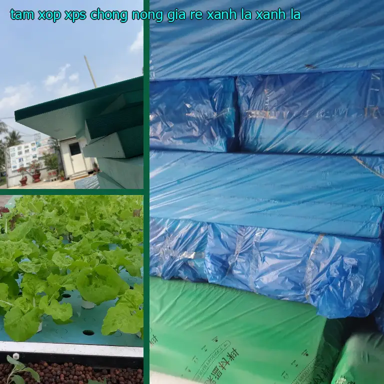 Màu sắc tấm xốp XPS chống nóng giá rẻ Xanh lá: Xanh lá Màu sắc tấm xốp XPS chống nóng giá rẻ Xanh lá: Xanh lá