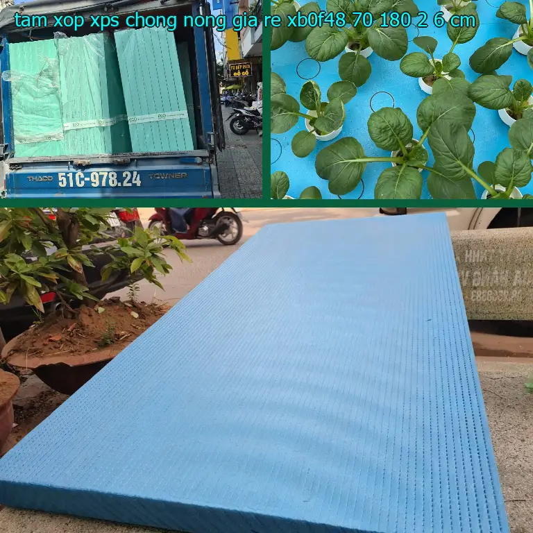 Kích thước tấm xốp XPS chống nóng giá rẻ XB0F48: 70*180*2.6 cm Kích thước tấm xốp XPS chống nóng giá rẻ XB0F48: 70*180*2.6 cm