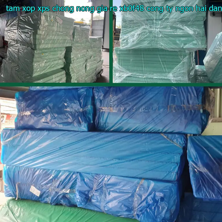 Nhà cung cấp tấm xốp XPS chống nóng giá rẻ XB0F48: Công ty Ngọn Hải Đăng Nhà cung cấp tấm xốp XPS chống nóng giá rẻ XB0F48: Công ty Ngọn Hải Đăng