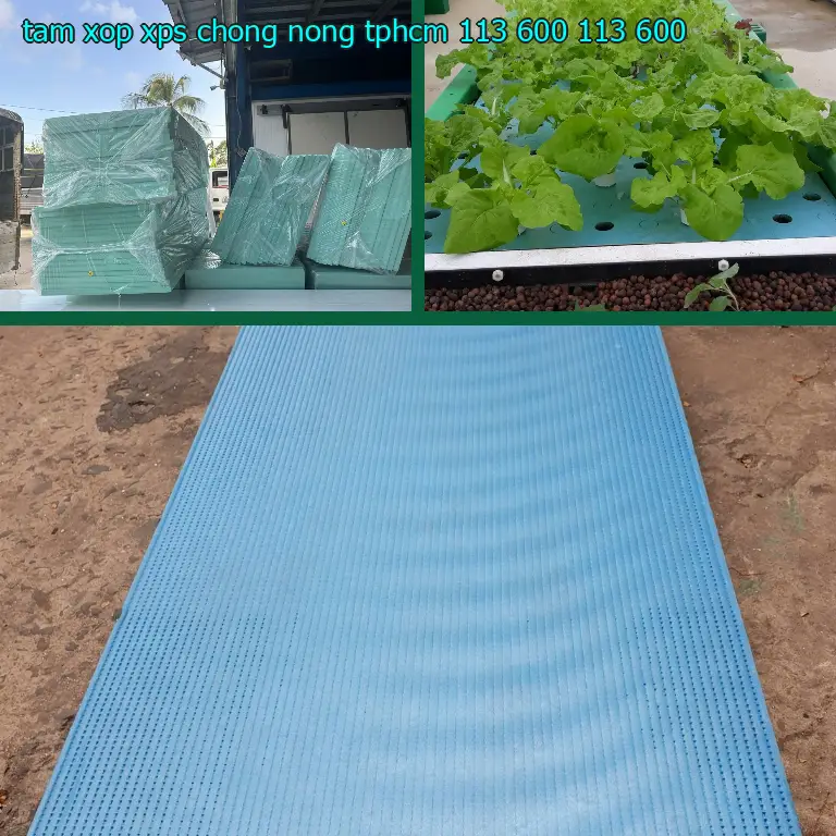 Giá tấm xốp XPS chống nóng TpHCM 113.600₫: 113.600₫ Giá tấm xốp XPS chống nóng TpHCM 113.600₫: 113.600₫