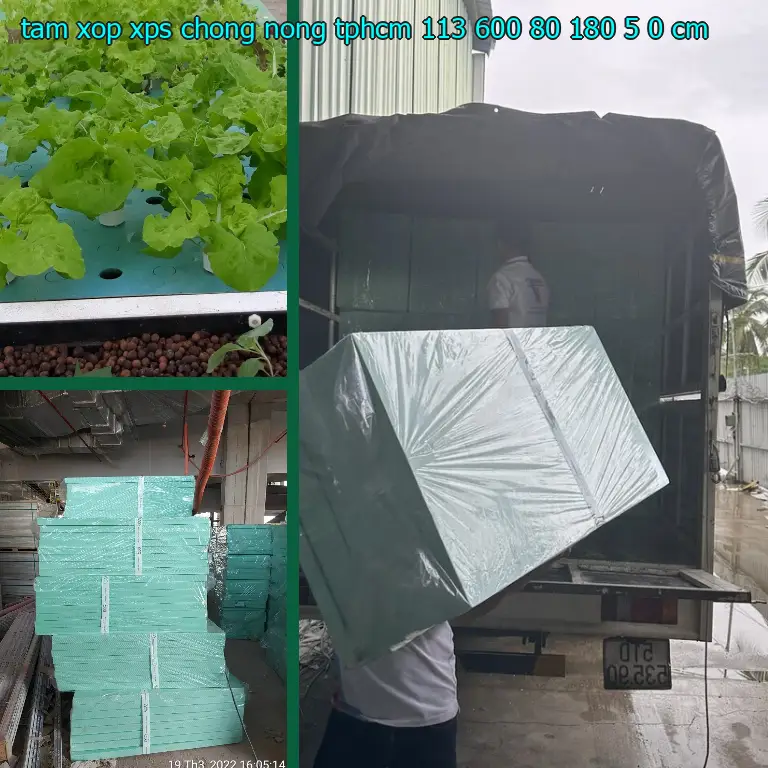 Kích thước tấm xốp XPS chống nóng TpHCM 113.600₫: 80*180*5.0 cm Kích thước tấm xốp XPS chống nóng TpHCM 113.600₫: 80*180*5.0 cm