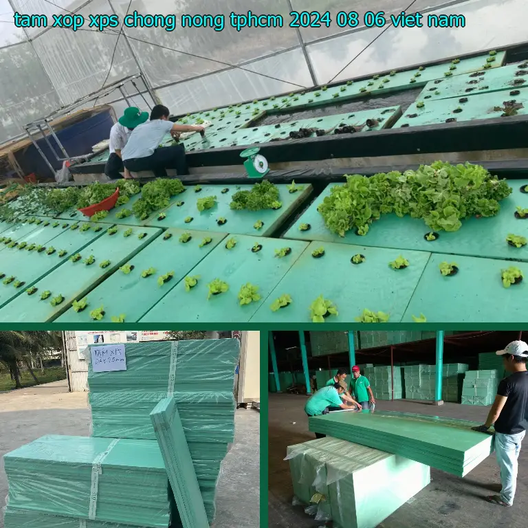 Xuất xứ tấm xốp XPS chống nóng TpHCM 2024-08-06: Việt Nam Xuất xứ tấm xốp XPS chống nóng TpHCM 2024-08-06: Việt Nam