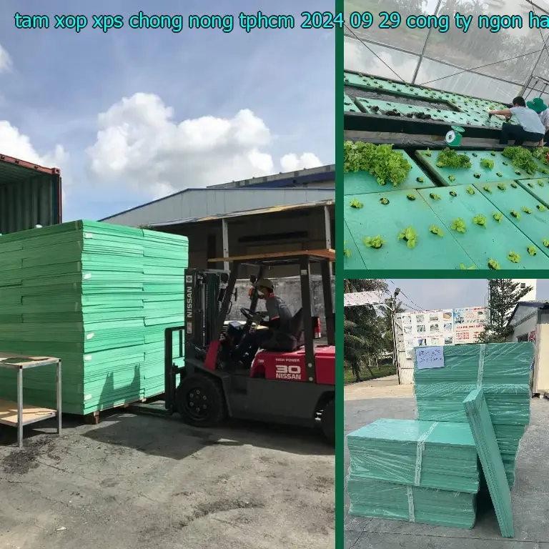 Nhà cung cấp tấm xốp XPS chống nóng TpHCM 2024-09-29: Công ty Ngọn Hải Đăng Nhà cung cấp tấm xốp XPS chống nóng TpHCM 2024-09-29: Công ty Ngọn Hải Đăng