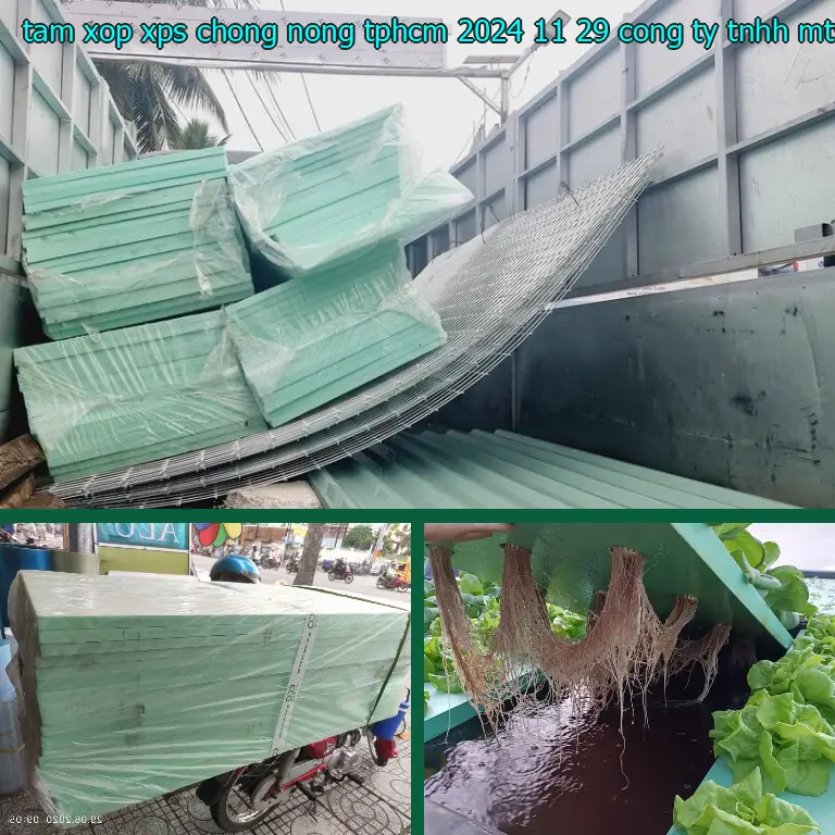 Nhà sản xuất tấm xốp XPS chống nóng TpHCM 2024-11-29: Công ty TNHH MTV An Tiến Hưng Nhà sản xuất tấm xốp XPS chống nóng TpHCM 2024-11-29: Công ty TNHH MTV An Tiến Hưng