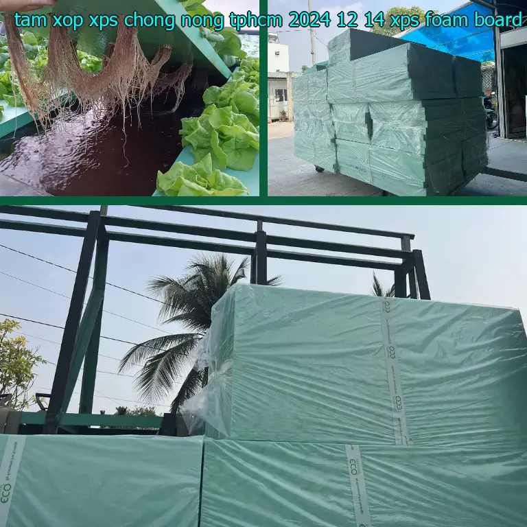 Danh mục tấm xốp XPS chống nóng TpHCM 2024-12-14: XPS Foam Board Danh mục tấm xốp XPS chống nóng TpHCM 2024-12-14: XPS Foam Board