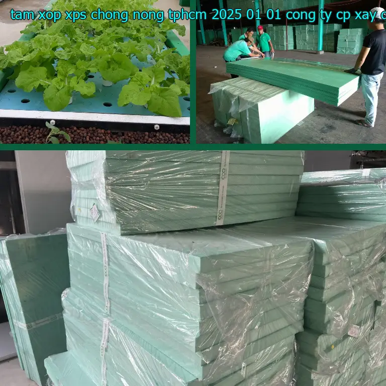 Nhà sản xuất tấm xốp XPS chống nóng TpHCM 2025-01-01: Công ty CP xây dựng và nội thất Remak Nhà sản xuất tấm xốp XPS chống nóng TpHCM 2025-01-01: Công ty CP xây dựng và nội thất Remak