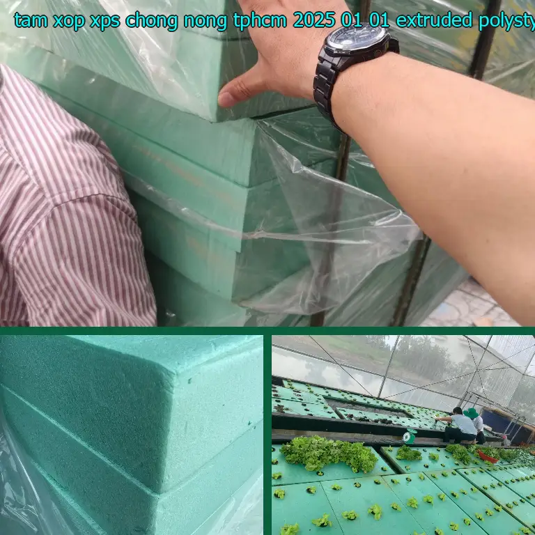 Chất liệu tấm xốp XPS chống nóng TpHCM 2025-01-01: Extruded Polystyrene Chất liệu tấm xốp XPS chống nóng TpHCM 2025-01-01: Extruded Polystyrene