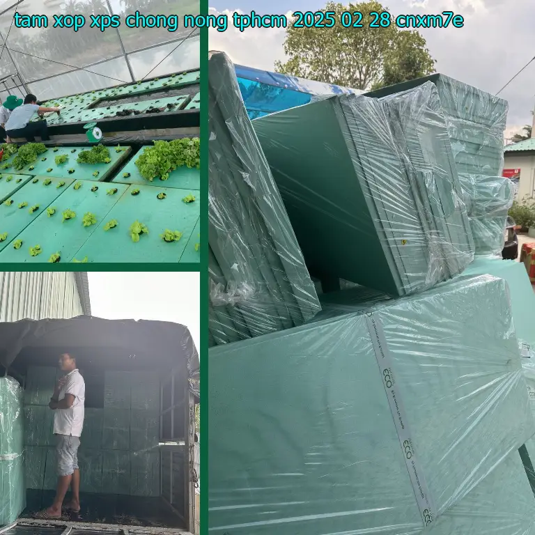 Model tấm xốp XPS chống nóng TpHCM 2025-02-28: CNXM7E Model tấm xốp XPS chống nóng TpHCM 2025-02-28: CNXM7E