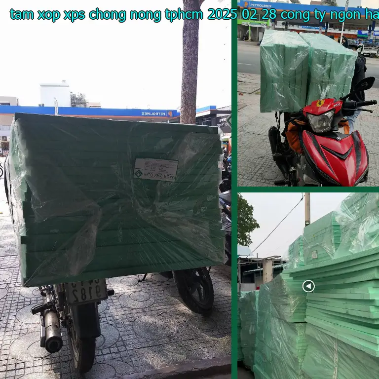Nhà cung cấp tấm xốp XPS chống nóng TpHCM 2025-02-28: Công ty Ngọn Hải Đăng Nhà cung cấp tấm xốp XPS chống nóng TpHCM 2025-02-28: Công ty Ngọn Hải Đăng