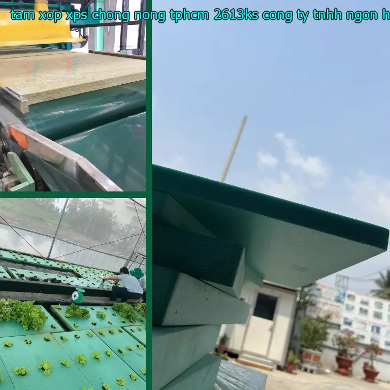 Nhà cung cấp tấm xốp XPS chống nóng TpHCM 2613KS: Công ty TNHH Ngọn Hải Đăng