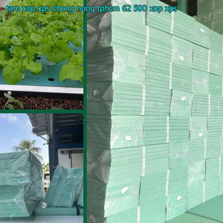 Danh mục tấm xốp XPS chống nóng TpHCM 62.500₫: Xốp XPS Danh mục tấm xốp XPS chống nóng TpHCM 62.500₫: Xốp XPS