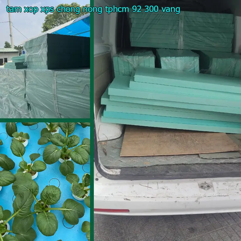 Màu sắc tấm xốp XPS chống nóng TpHCM 92.300₫: Vàng Màu sắc tấm xốp XPS chống nóng TpHCM 92.300₫: Vàng
