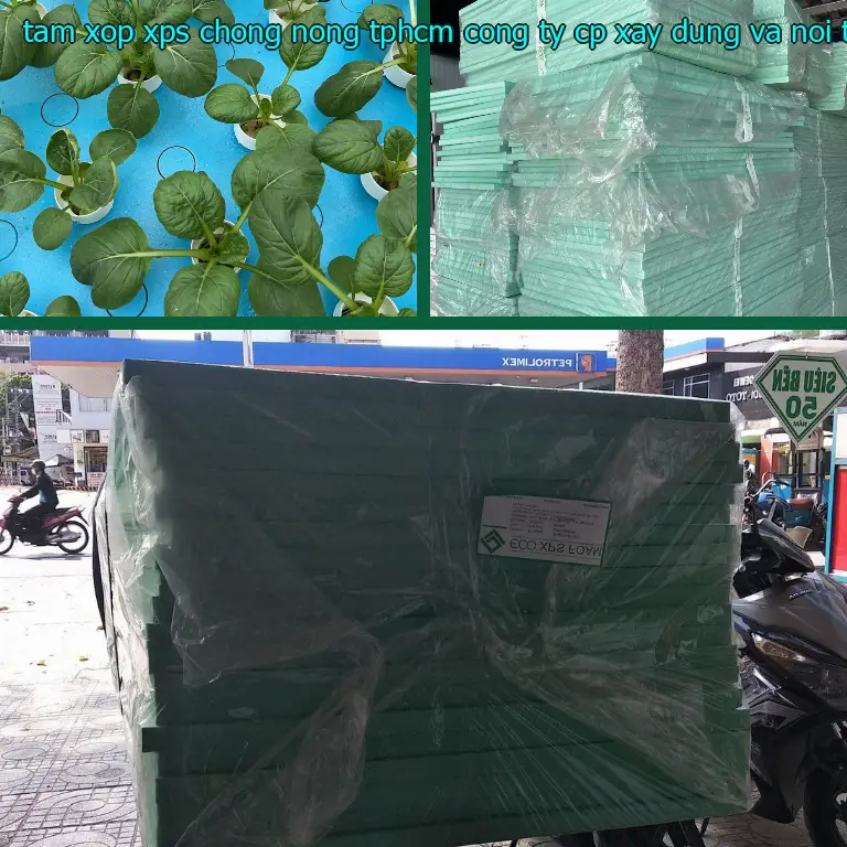 Ngày sản xuất tấm xốp XPS chống nóng TpHCM Công ty CP xây dựng và nội thất Remak: 2025-04-16