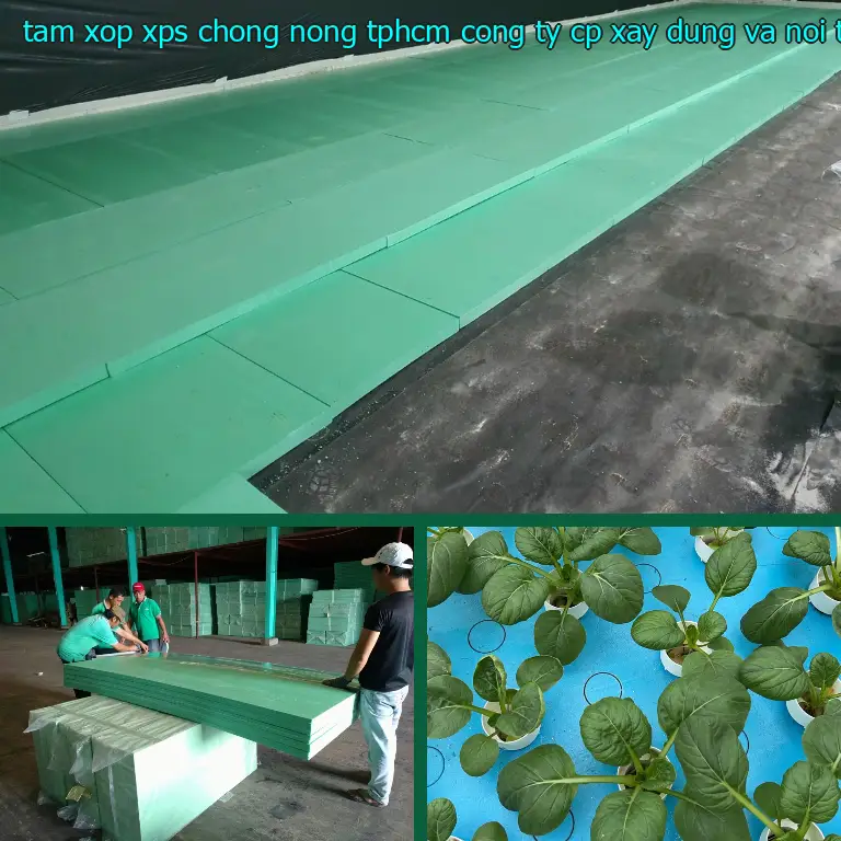 Màu sắc tấm xốp XPS chống nóng TpHCM Công ty CP xây dựng và nội thất Remak: Xanh lá