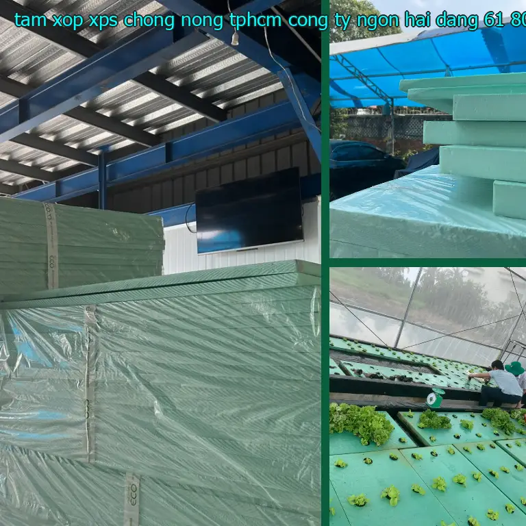Giá tấm xốp XPS chống nóng TpHCM Công ty Ngọn Hải Đăng: 61.800₫ Giá tấm xốp XPS chống nóng TpHCM Công ty Ngọn Hải Đăng: 61.800₫