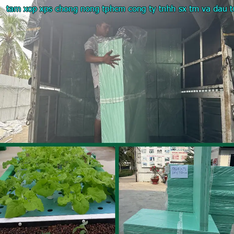 Nhà sản xuất tấm xốp XPS chống nóng TpHCM Công ty TNHH SX TM và đầu tư Tiến Phong: Công ty TNHH SX TM và đầu tư Tiến Phong