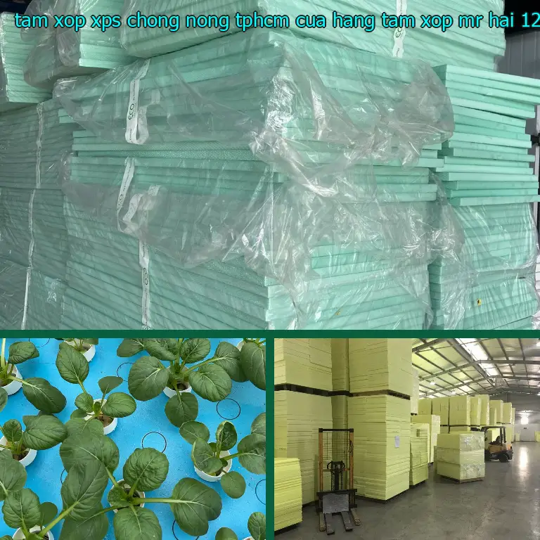 Đơn giá tấm xốp XPS chống nóng TpHCM Cửa hàng tấm xốp Mr.HẢI: 127.600₫ Đơn giá tấm xốp XPS chống nóng TpHCM Cửa hàng tấm xốp Mr.HẢI: 127.600₫