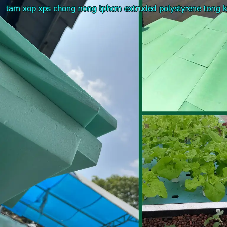 Nhà sản xuất tấm xốp XPS chống nóng TpHCM Extruded Polystyrene: Tổng kho vật liệu Việt Hưng Nhà sản xuất tấm xốp XPS chống nóng TpHCM Extruded Polystyrene: Tổng kho vật liệu Việt Hưng