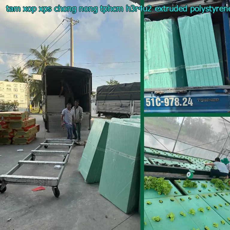 Chất liệu tấm xốp XPS chống nóng TpHCM H3R4U2: Extruded Polystyrene